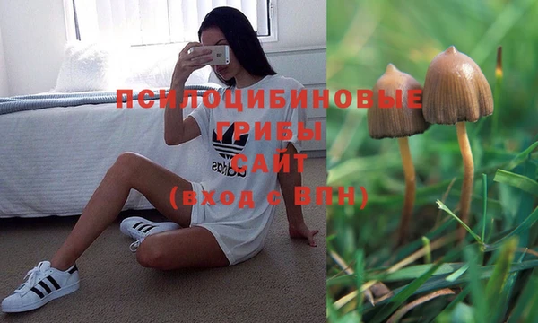 кокаин премиум Армянск