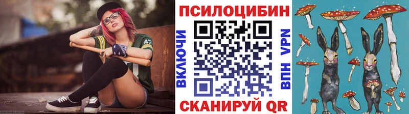 Псилоцибиновые грибы Psilocybe  Бологое 